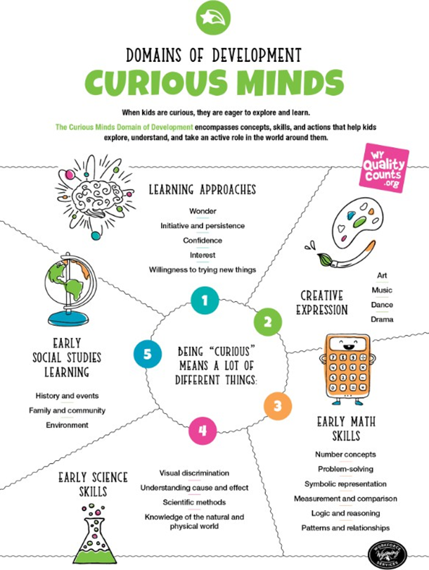 Curious Minds Domain