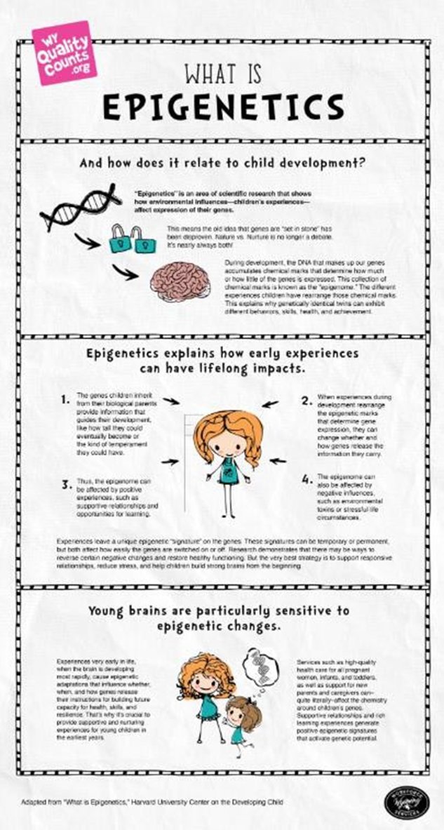 Epigenetics and Child Development
