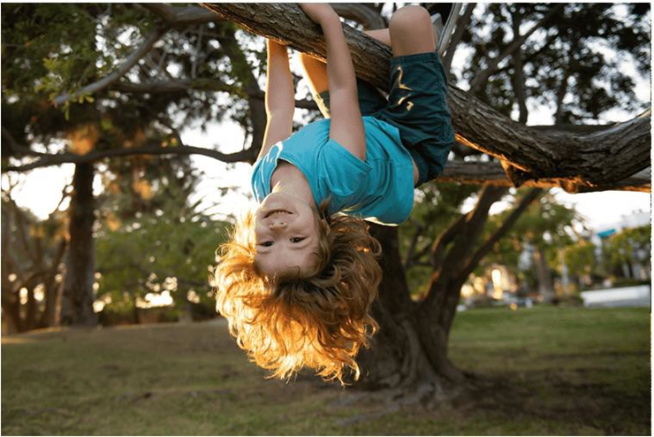 child hanging on a tree branch